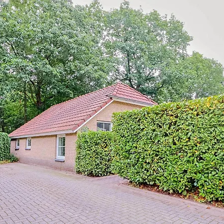Beautiful Veluwe Surrounded By Nature